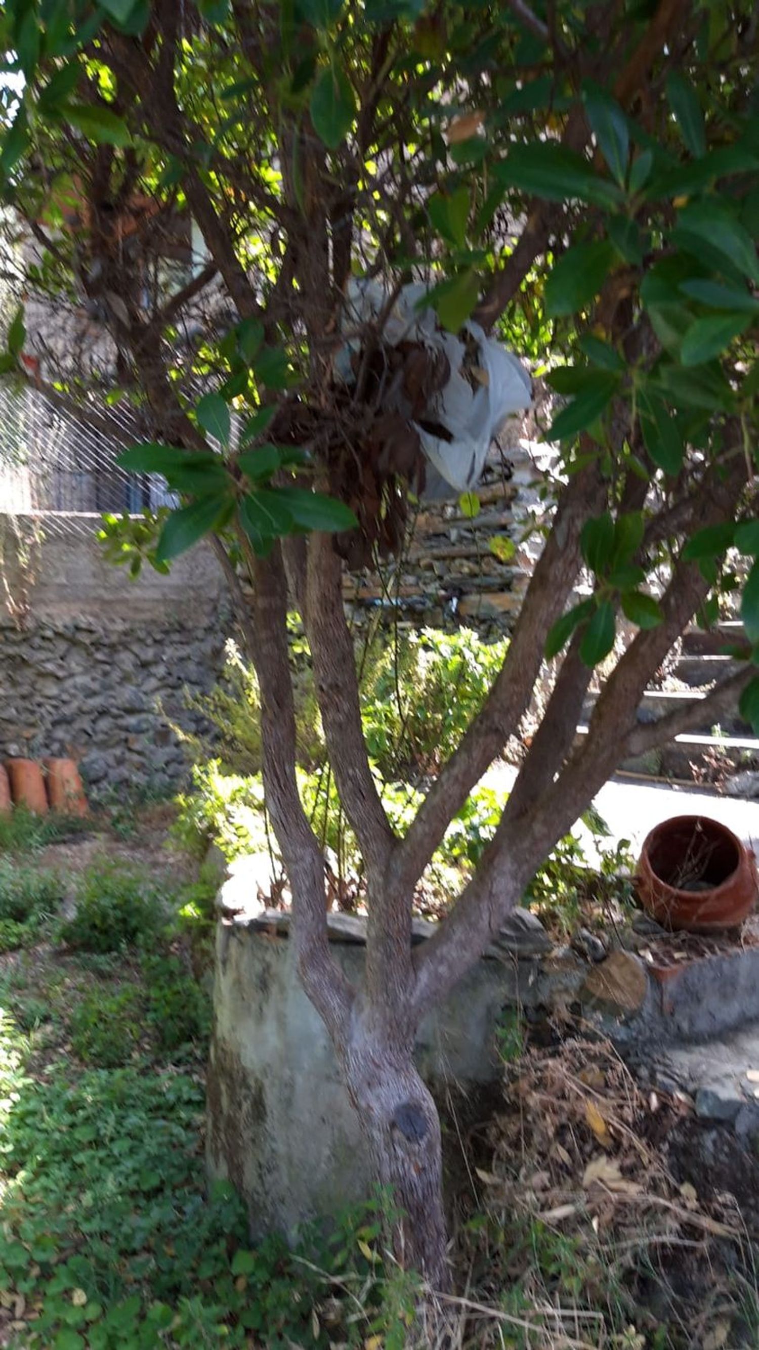Casa de pueblo en arroyo s/n - Foto 2