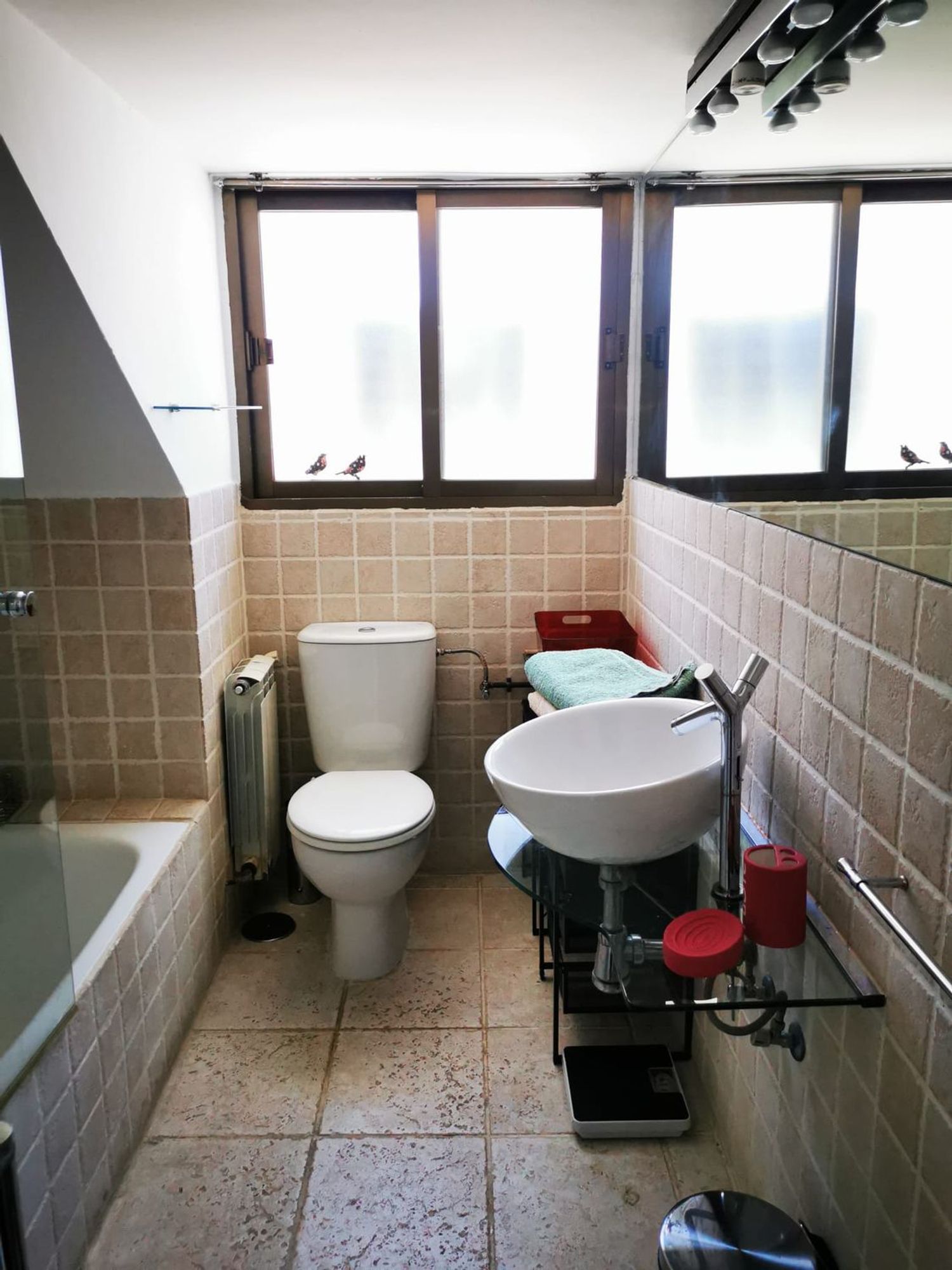 Estudio en calle de Don Felipe, 9 - Foto 5