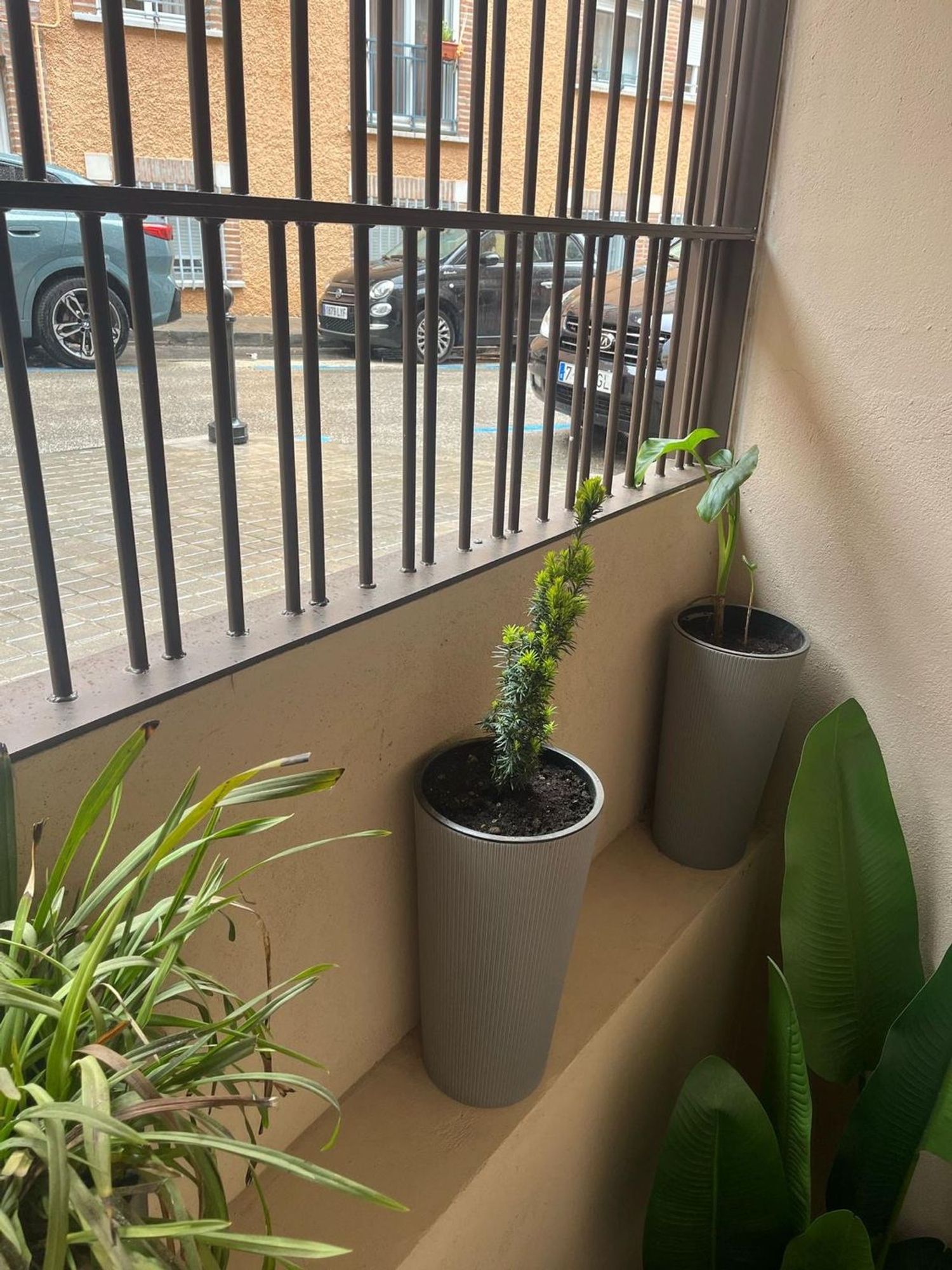 Dúplex en calle de Enrique Calabia, 6 - Foto 12