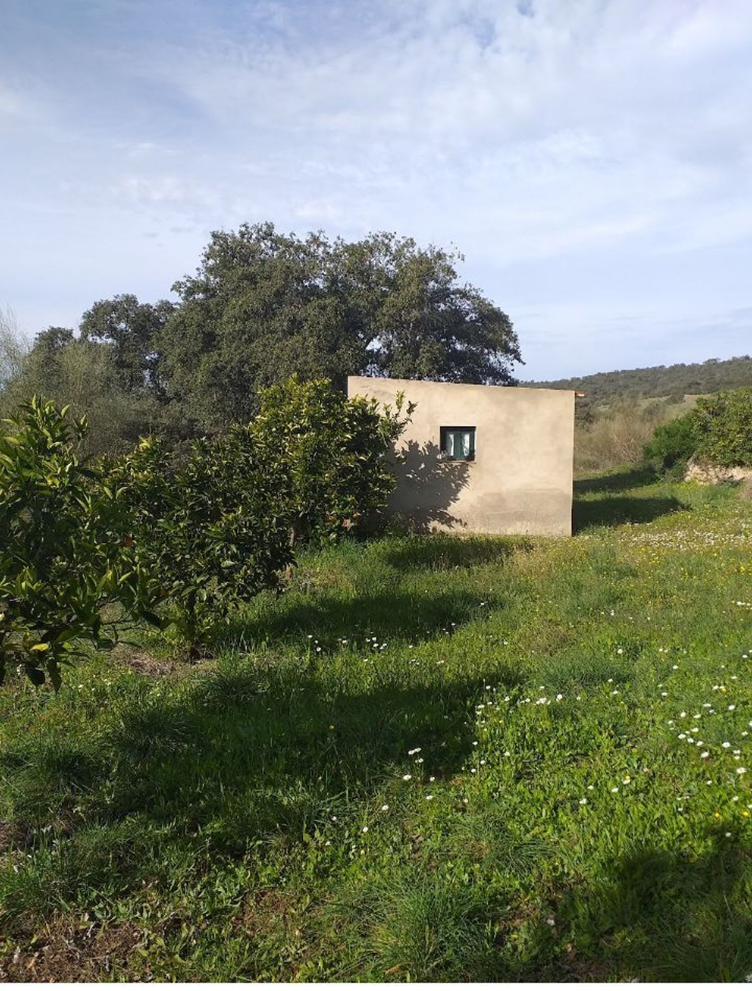 Finca rústica en Sierra de Mampar s/n - Foto 4