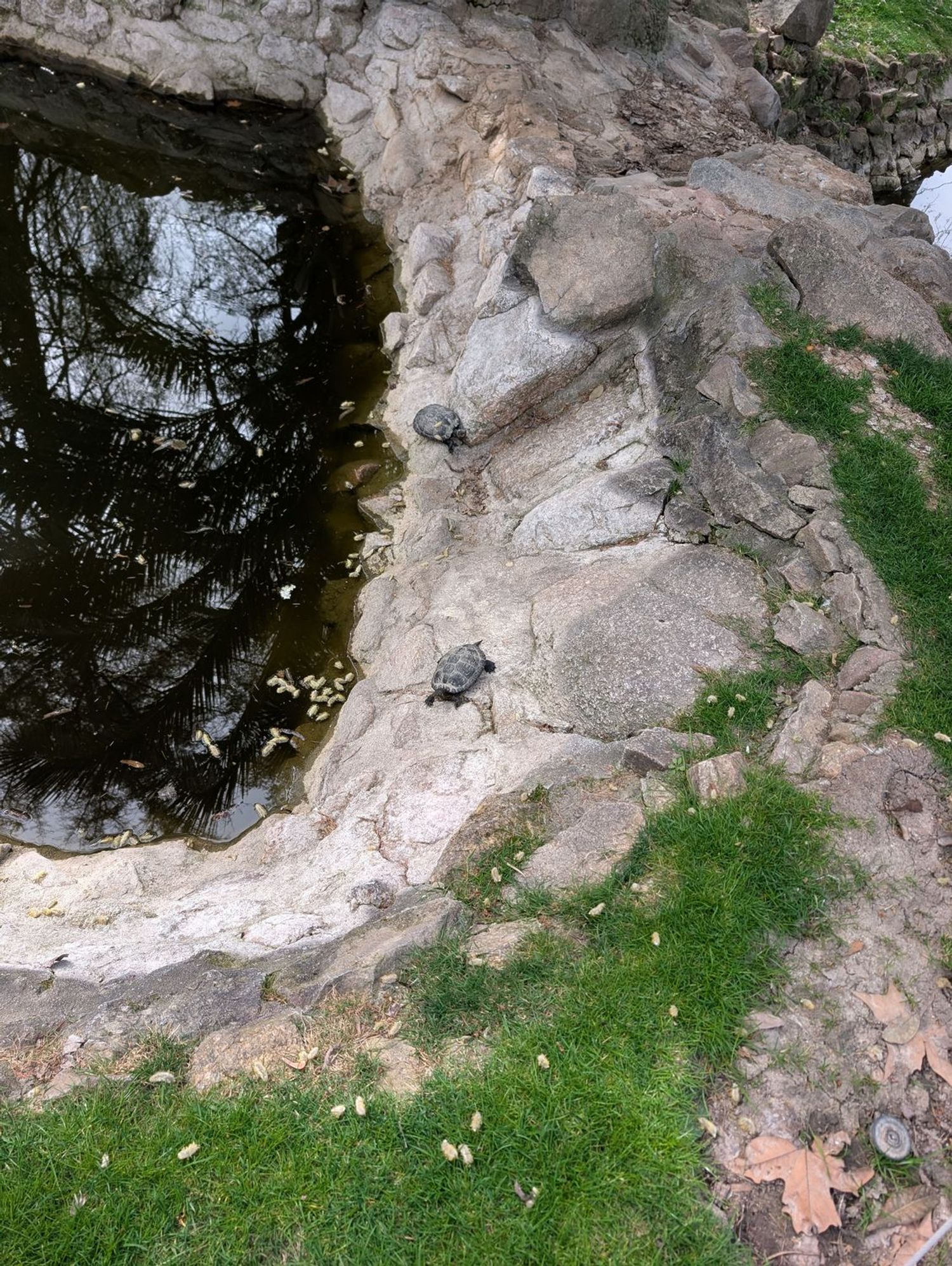 Chalet adosado en calle de Cuesta Blanca, 293 - Foto 13