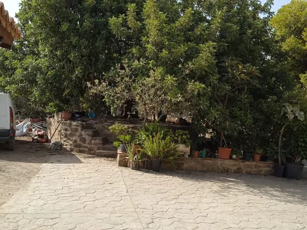 Finca rústica en Calle Sócrates, 56 - Foto 3