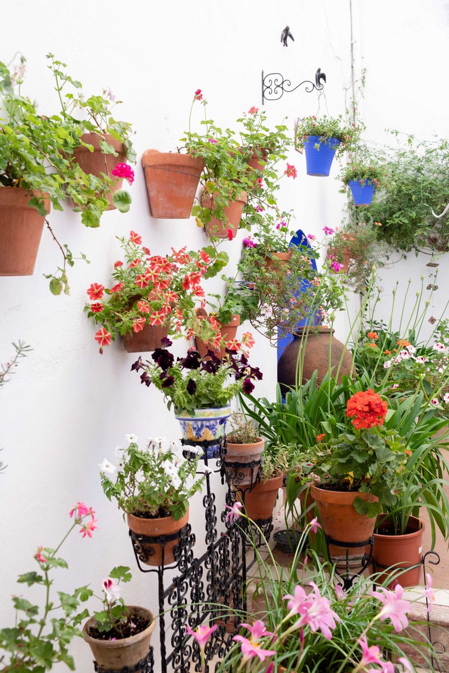 Casa o chalet independiente en Calle Virgen del Monte, 42 - Foto 8