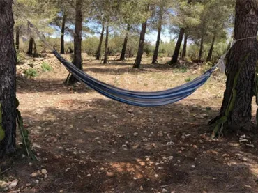 Finca rústica en  Passeig de I'Almadrava 13 - Foto 2