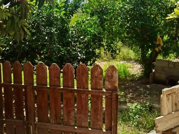 Casa independiente en carril Campillos, 1 - Foto 9