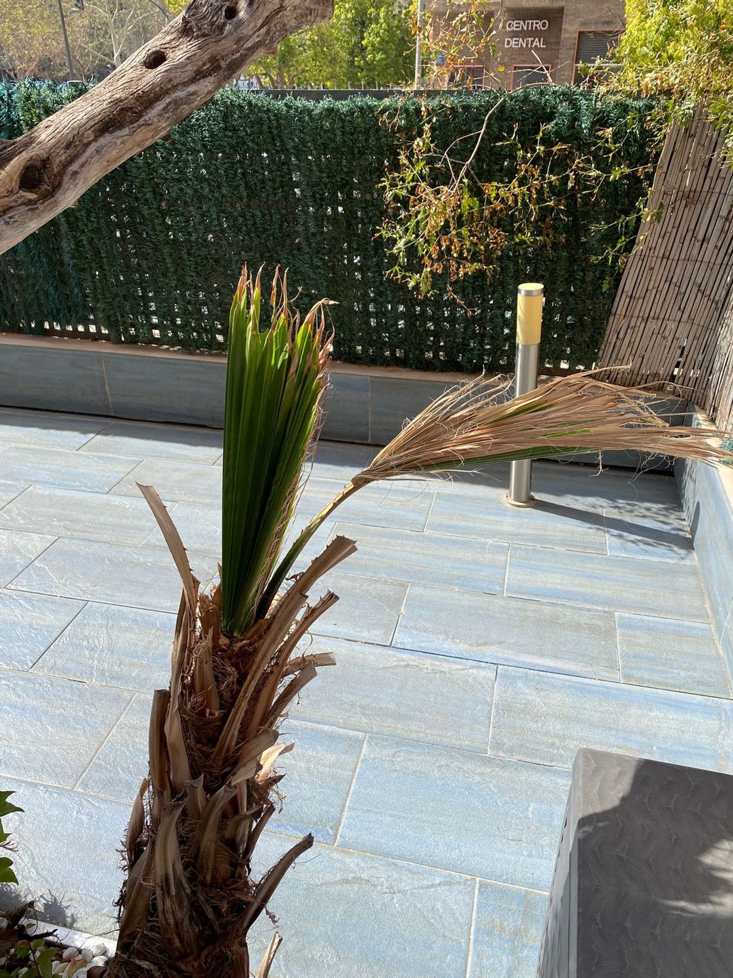 Piso en Calle d'Alfauir, Sant Llorenç - Foto 21