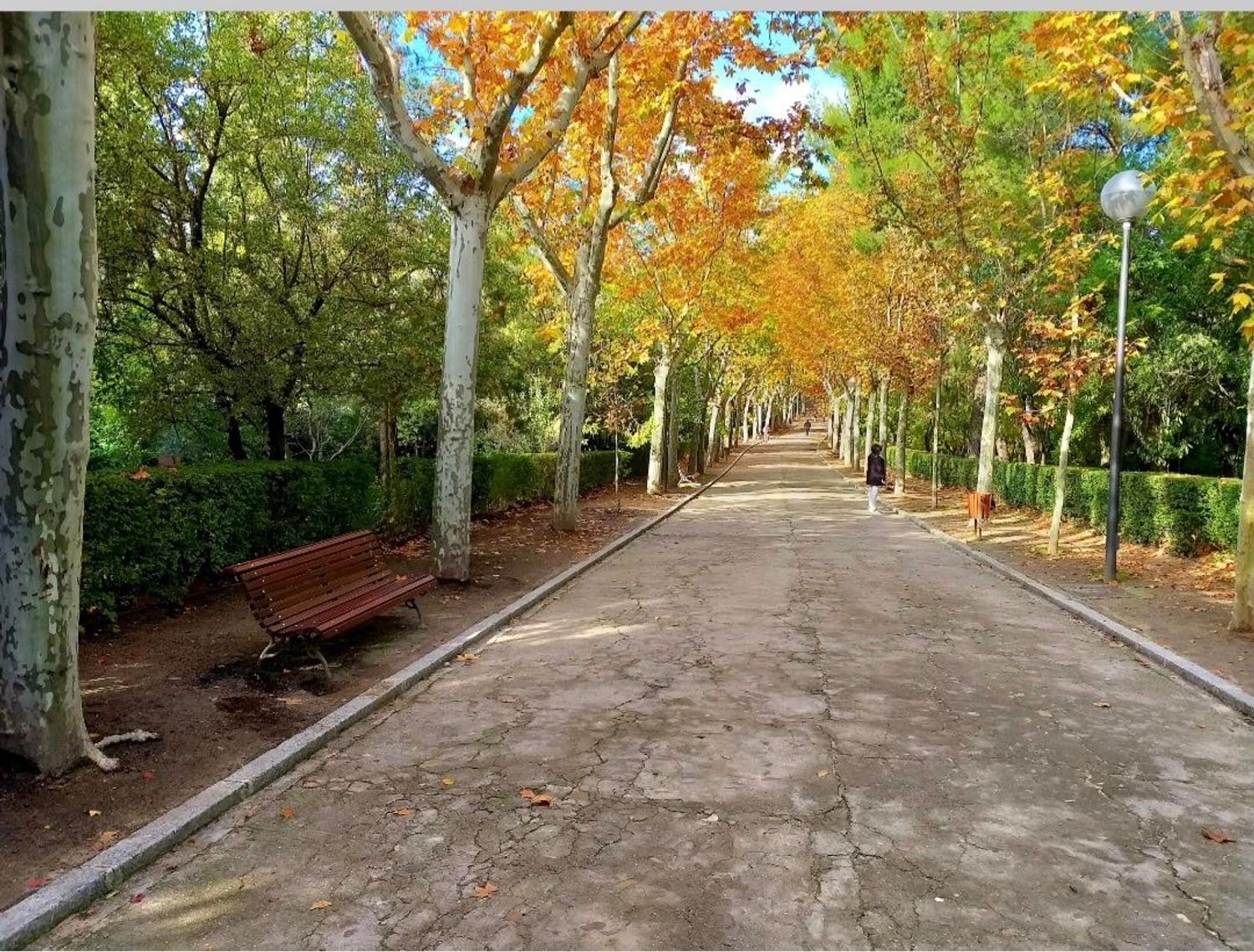 Piso en calle de Miami, 8 - Foto 30