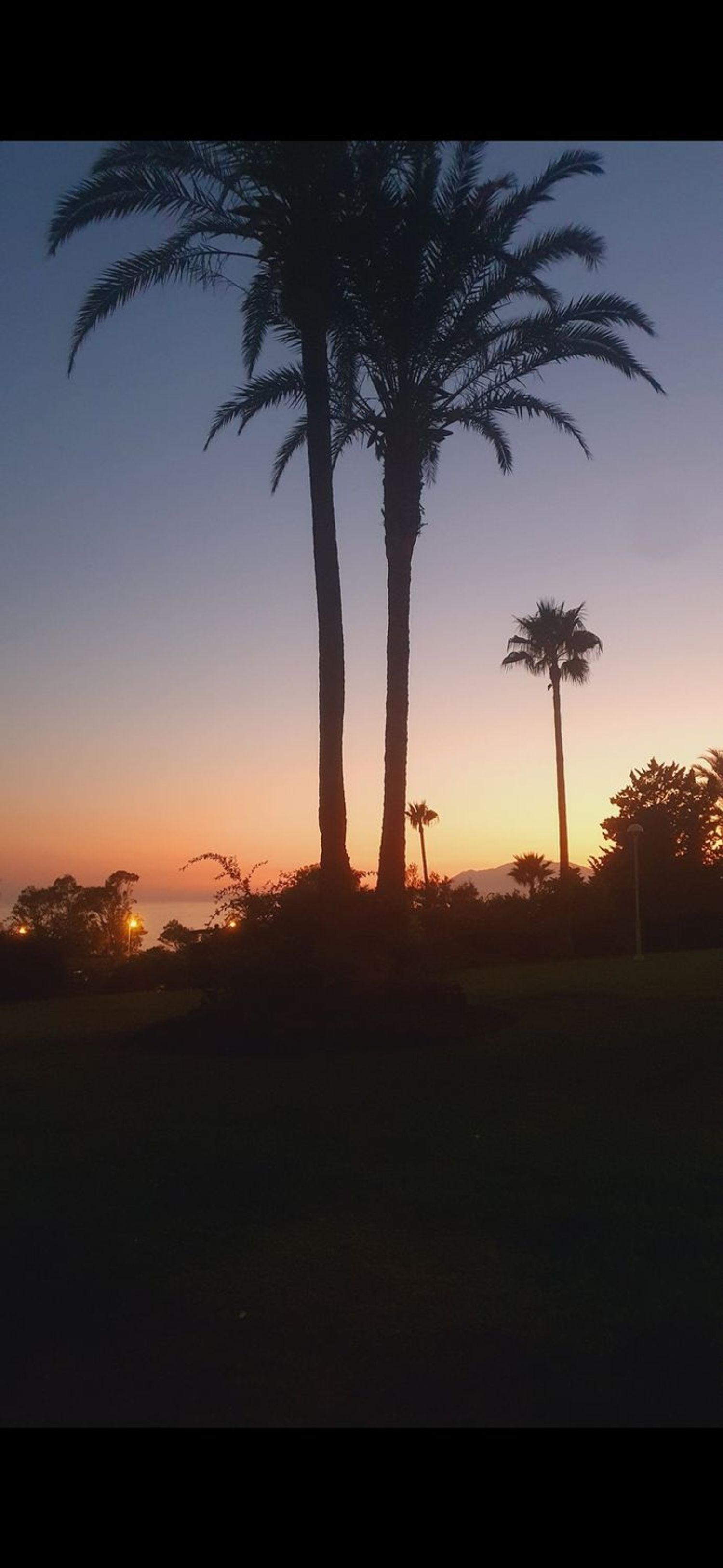 Estudio en calle Peter Viertel, 7 - Foto 1