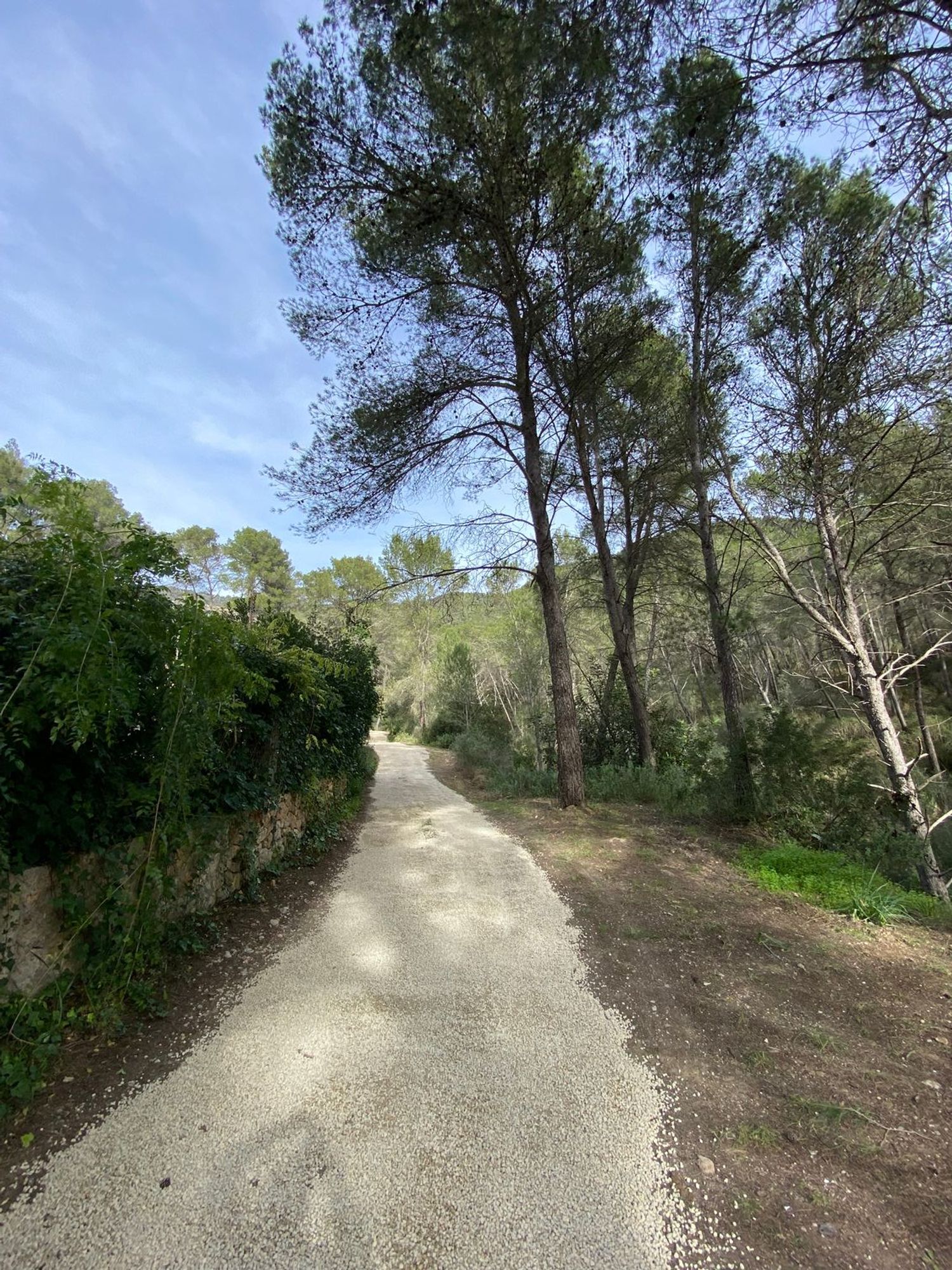 Finca rústica en camino de Cás Calixto s/n Sn - Foto 29