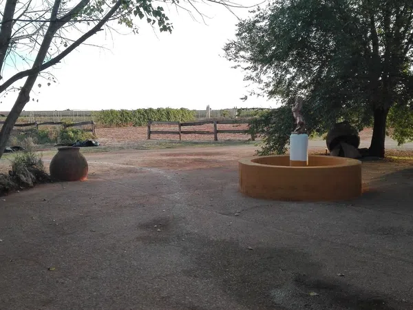 Finca rústica en Carretera de Ossa de Montiel s/n - Foto 5