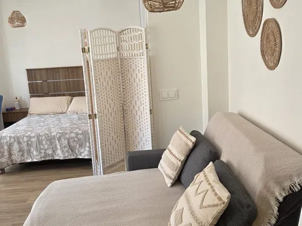 Estudio en Calle Angel Barajas, 7, Zona Estación - Foto 4