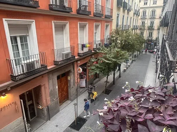 Piso en Calle Barbieri, 3, Chueca-Justicia - Foto 16