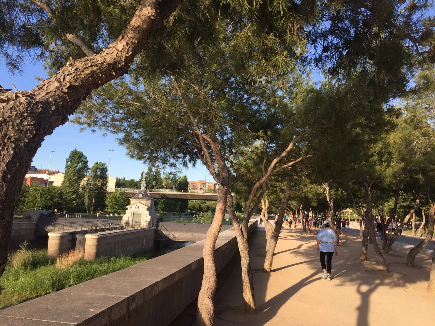 Piso en paseo de San Illan, 37 - Foto 14