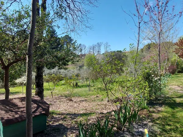 Casa o chalet independiente en Carretera Forestal de la Pregonera, 924 Av - Foto 14