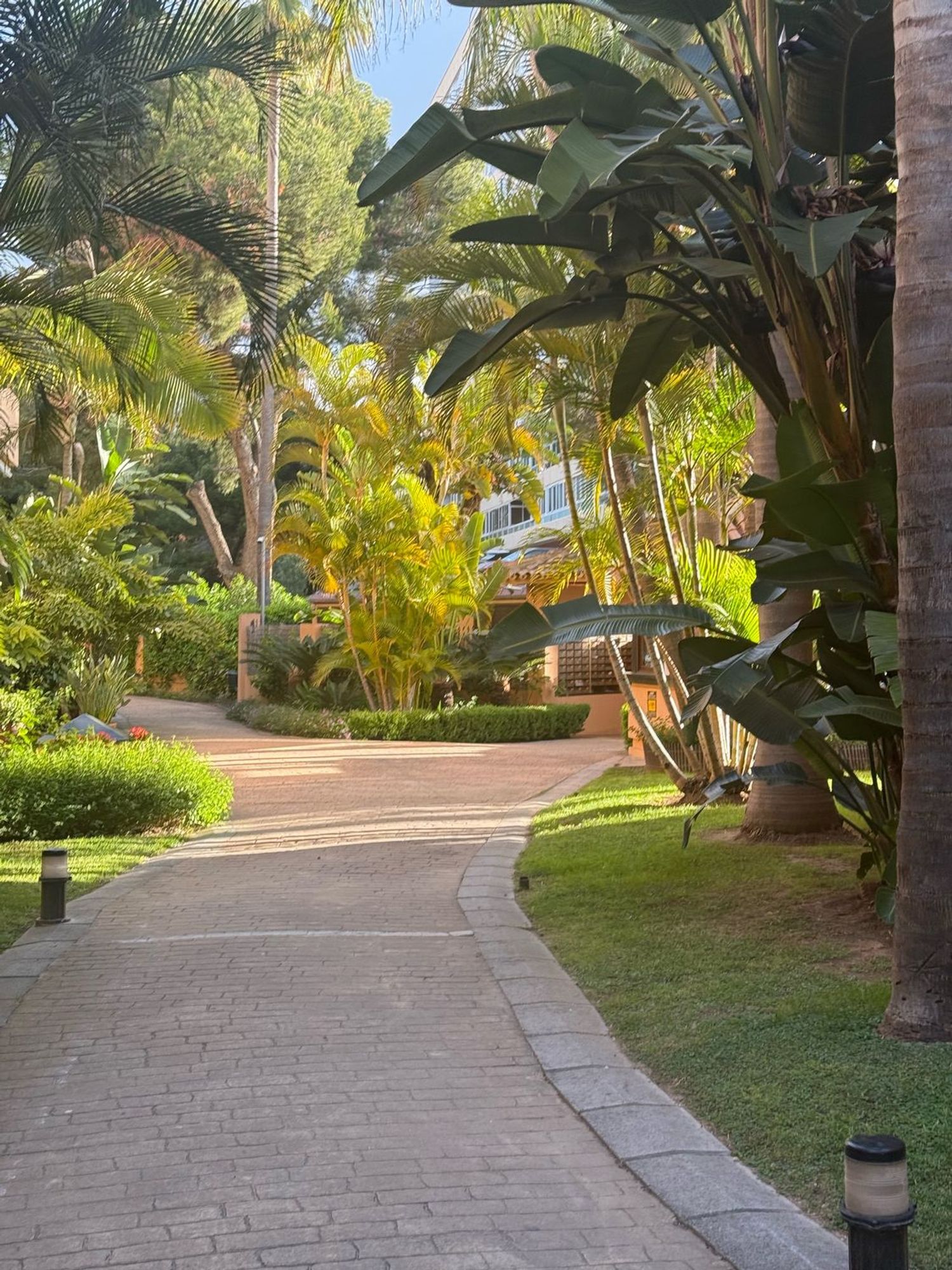 Piso en avenida Jacaranda, 32 - Foto 5