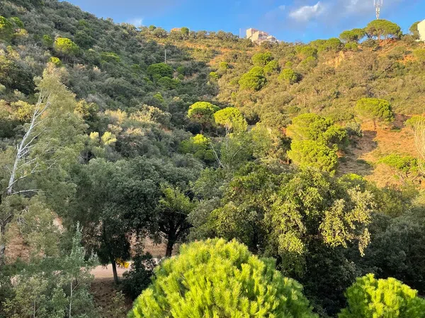 Piso en Urbanització Cala Salions, Tossa de Mar, 132 - Foto 17