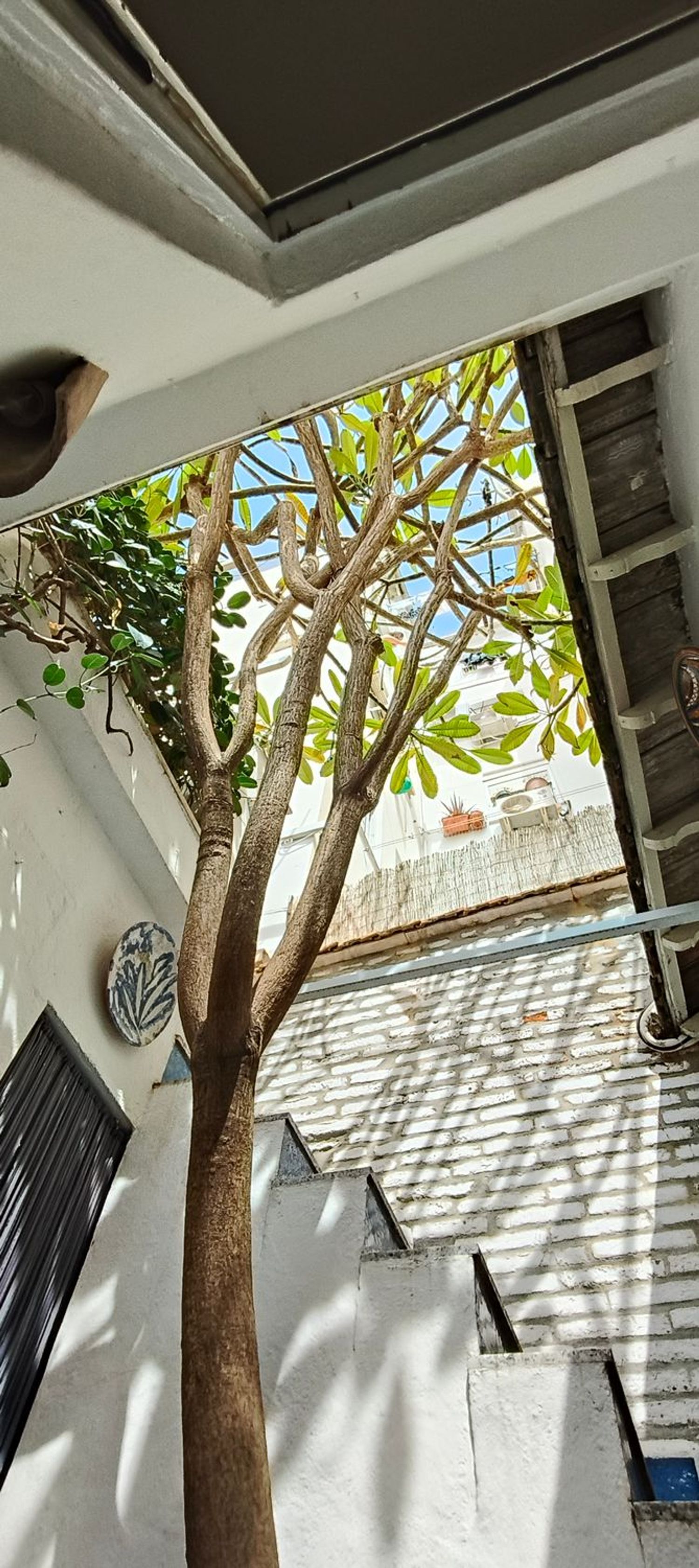 Casa independiente en calle Bailén, 24 - Foto 2