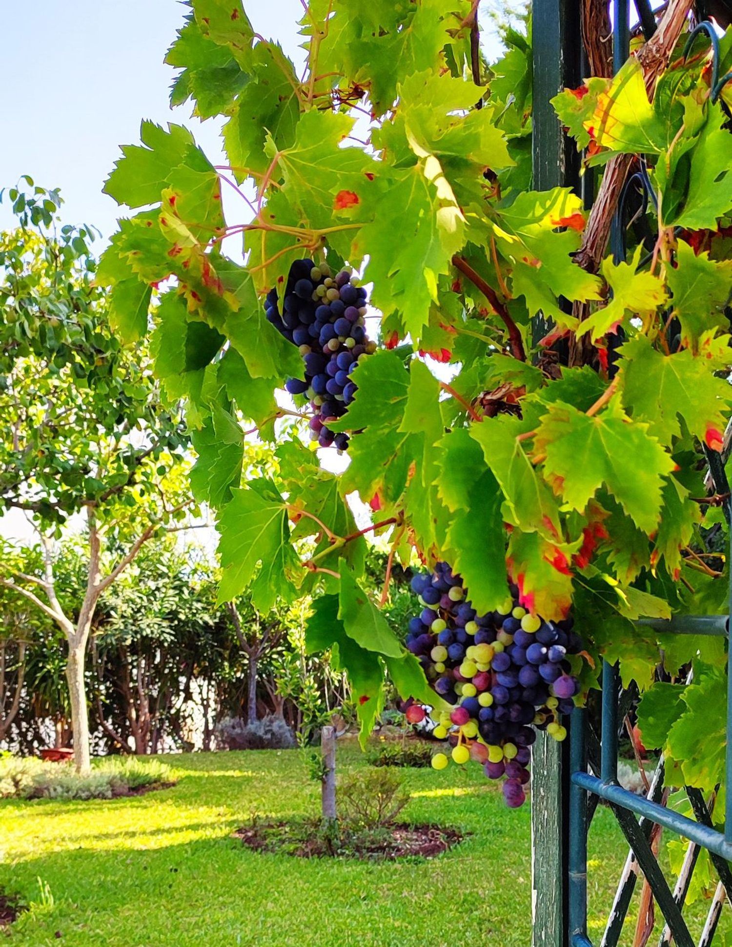Casa independiente en Urbanización Lomas de Mijas, 3 b - Foto 19