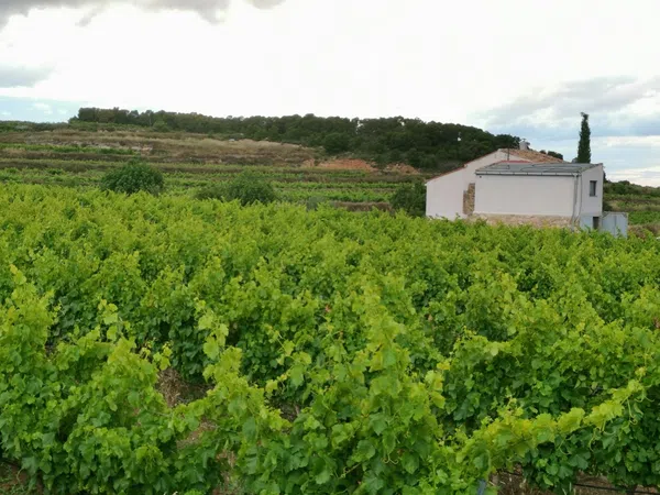 Casa rural en Via Sense Nom s/n - Foto 11