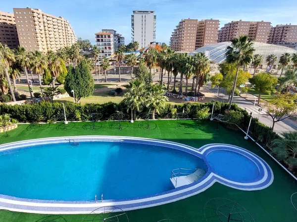 Piso en Avenida Central, 14, Marina Trebol - Neptuno - Foto 20