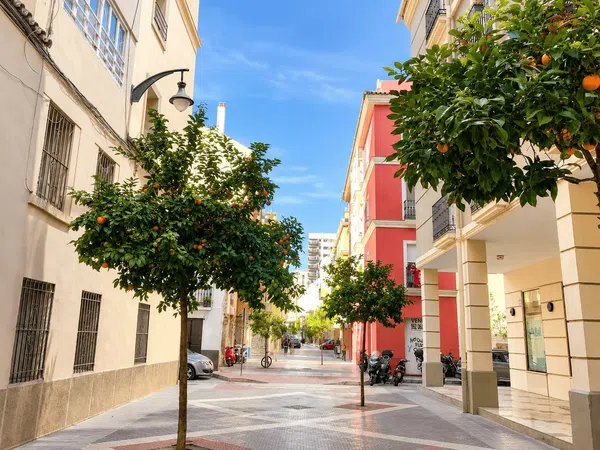 Piso en Calle Ancha del Carmen, Perchel sur - El Bulto - Foto 1
