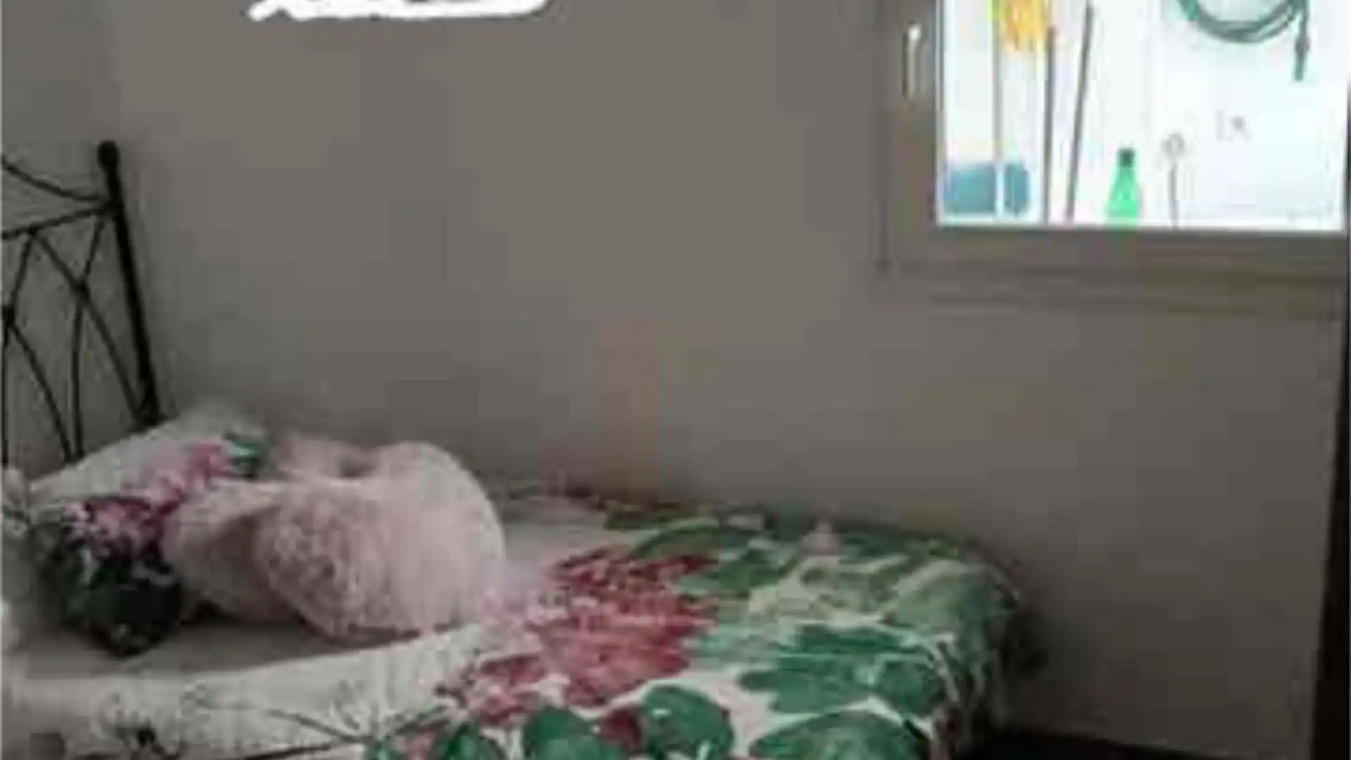 Piso en Caserones - Foto 5