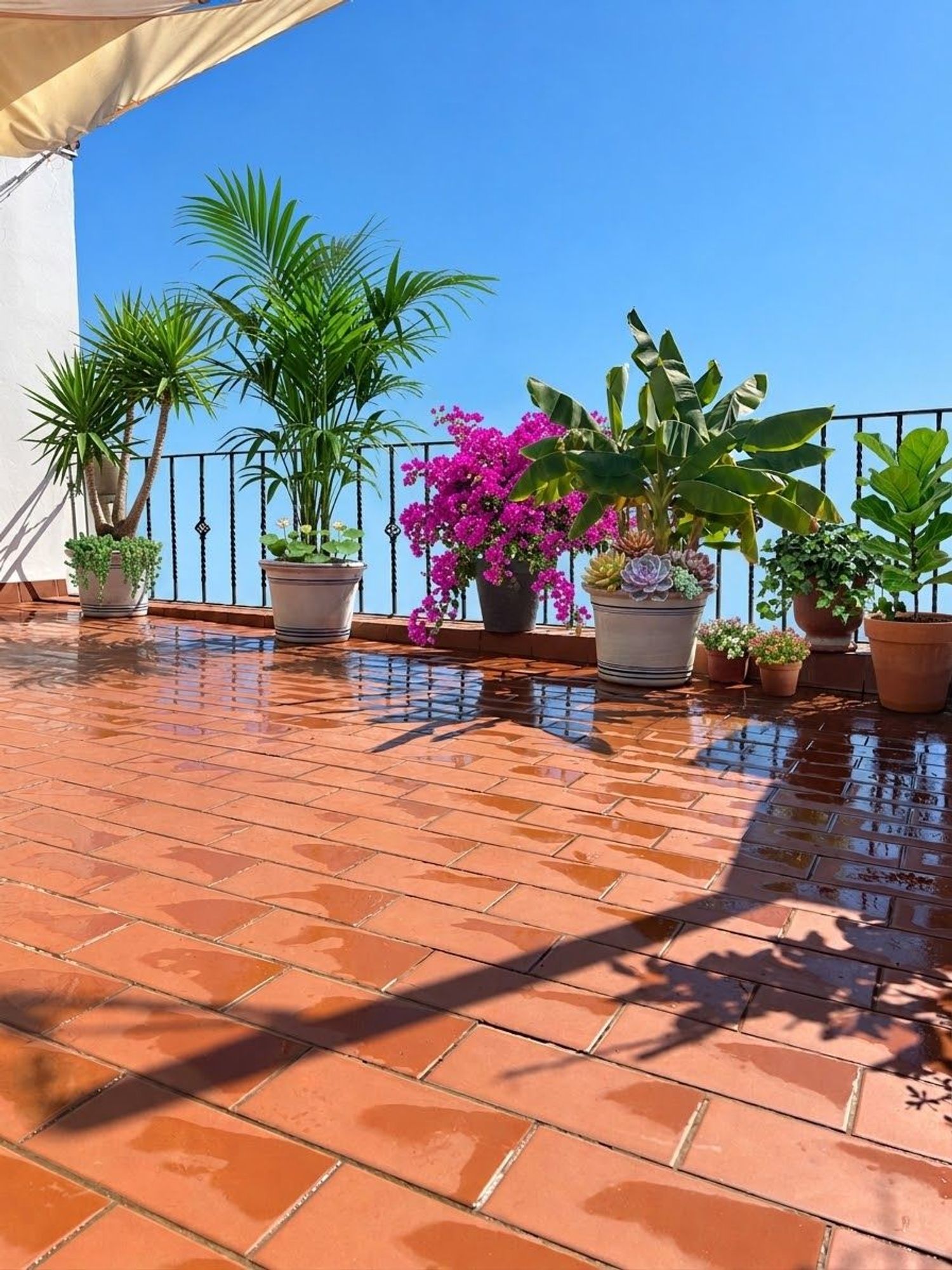 Ático en Santa Catalina, 99, Puerta Carmona-Puerta Osario-Amador de los Ríos - Foto 26