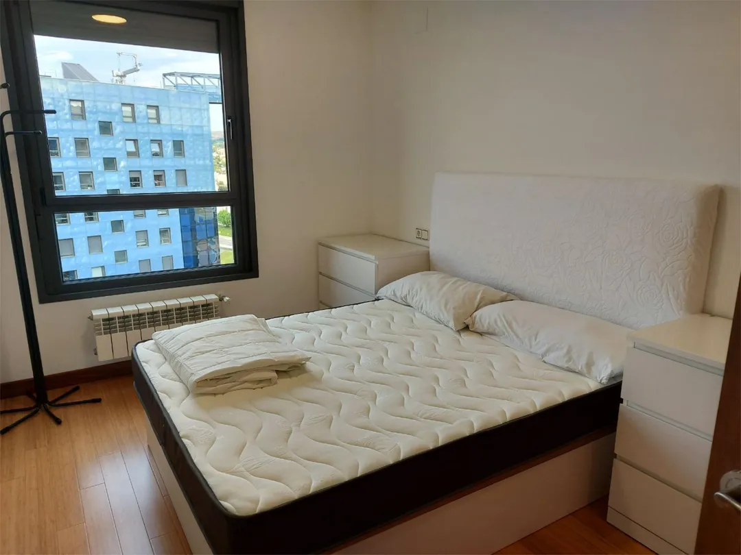 Piso en  Calle Juan Antonio Álvarez Rabanal 3 - Foto 20