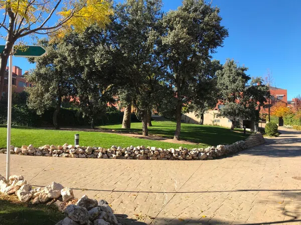 Piso en Encinar de los Reyes - Foto 23