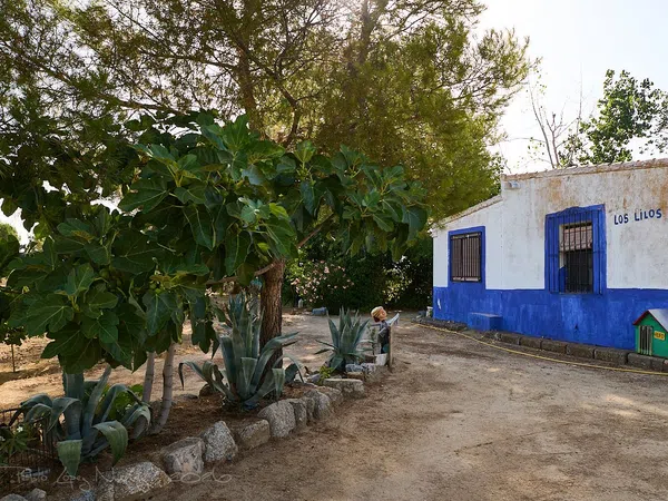 Finca rústica en Camino de la Mata s/n - Foto 5