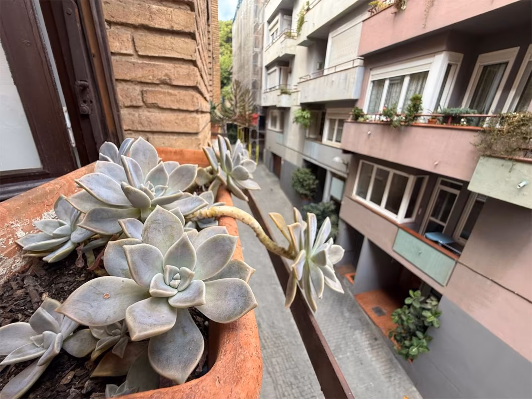 Piso en  Carrer del Putxet 75 - Foto 26