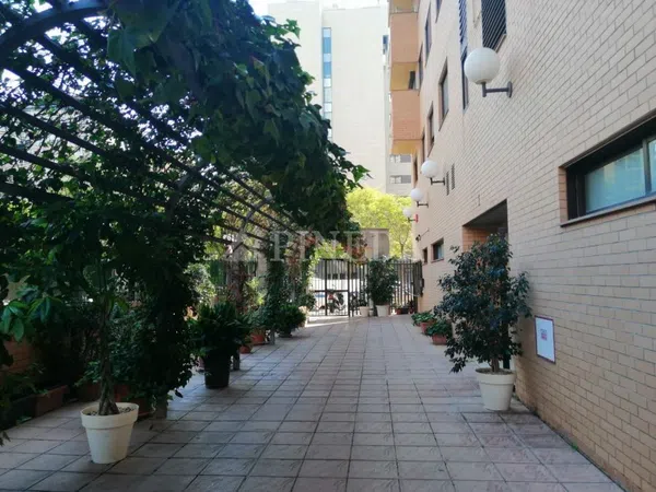 Piso en Calle del Pintor Maella, Penya-Roja - Foto 16