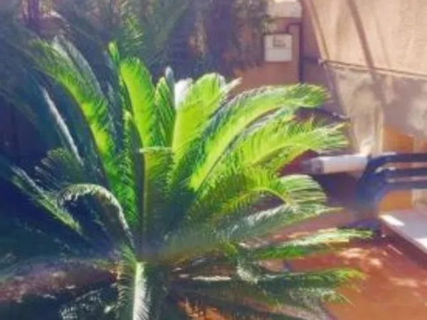 Chalet adosado en Calle Nápoles, 3 e, El Plan-Polígono de Santa Ana - Foto 7