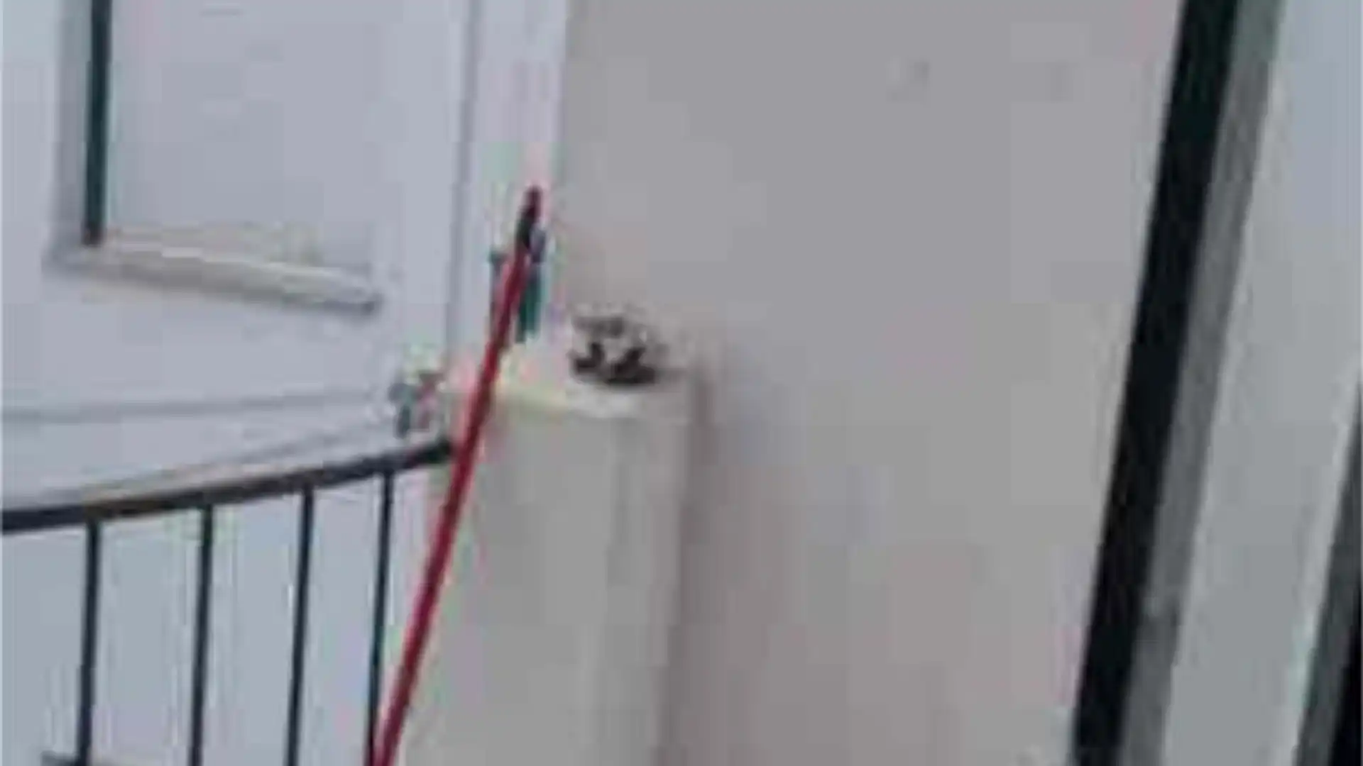 Piso en Centro - Foto 8