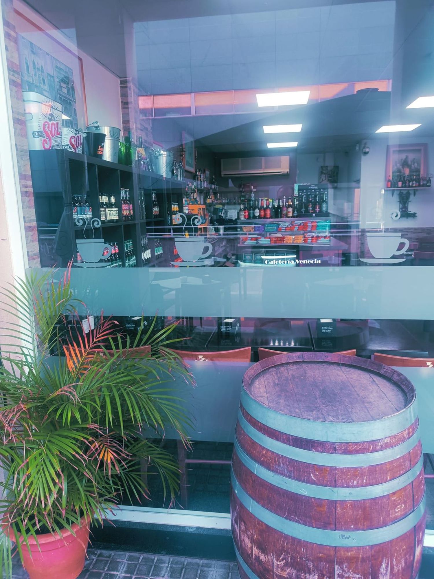 Local en Bar en Avenida de la Torre Blanca, 6, Torreblanca, Torreblanca - Foto 6