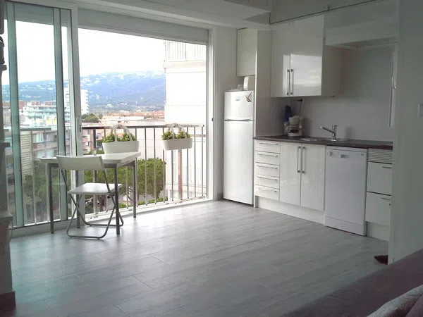 Estudio en Paseo Marítim, 166, Platja Llarga - Foto 1