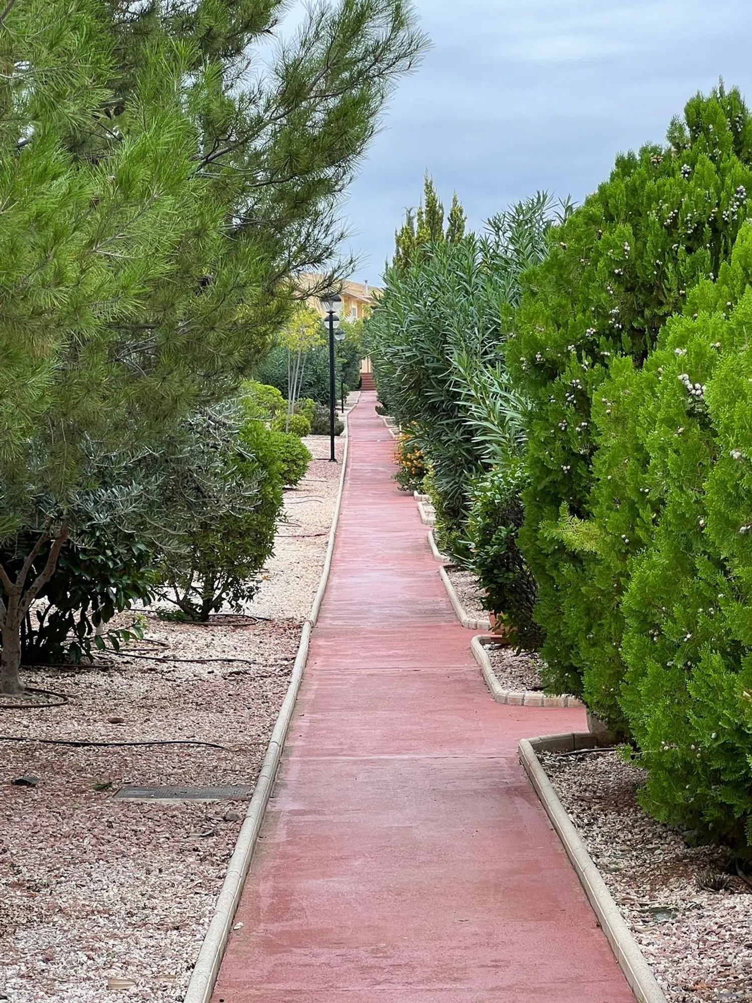 Chalet adosado en calle Rosalía de Castro, 169 - Foto 32