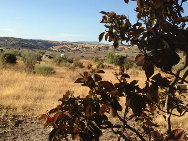 Finca rústica en camino de las laderas, 45 - Foto 30