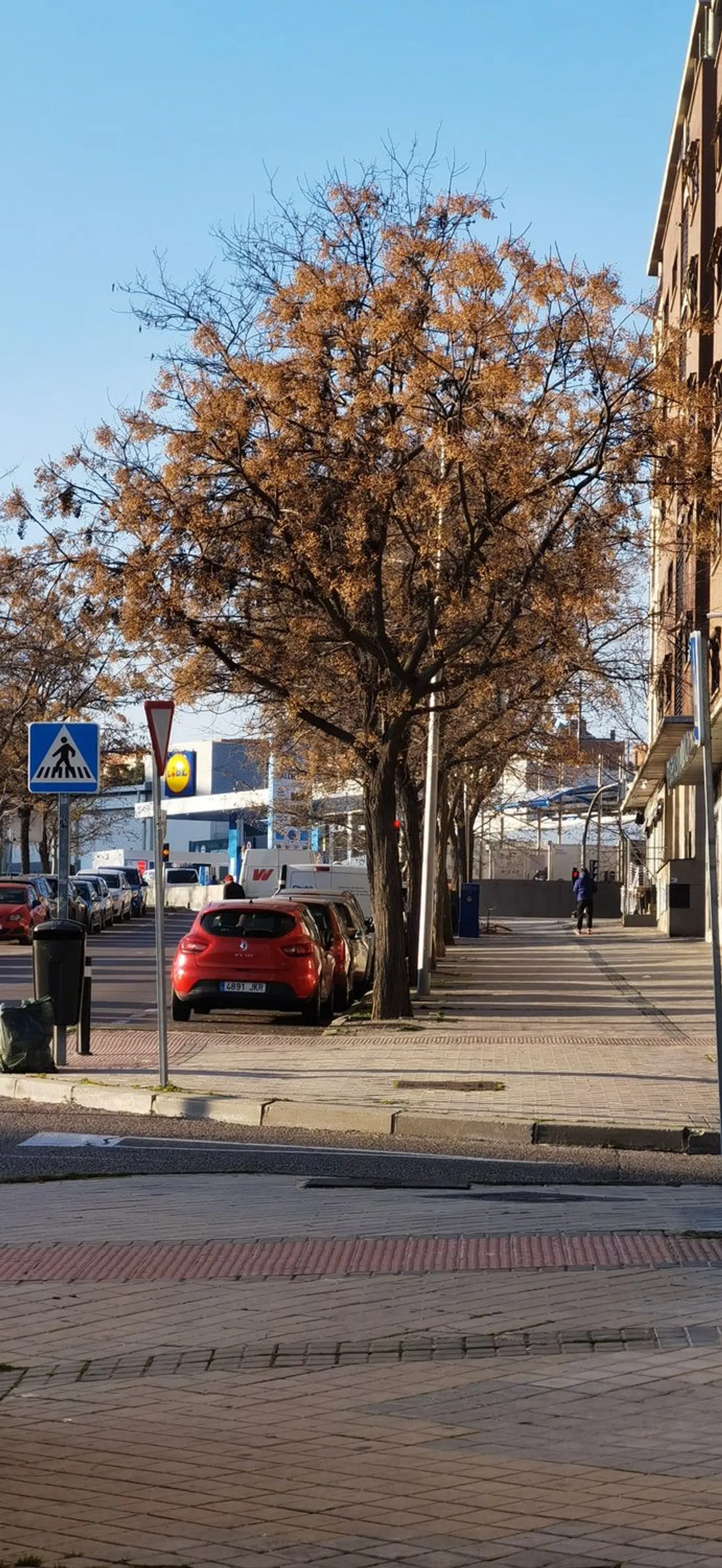 Piso en Urb. urbanización Barrio Pau de Carabanchel - Foto 4