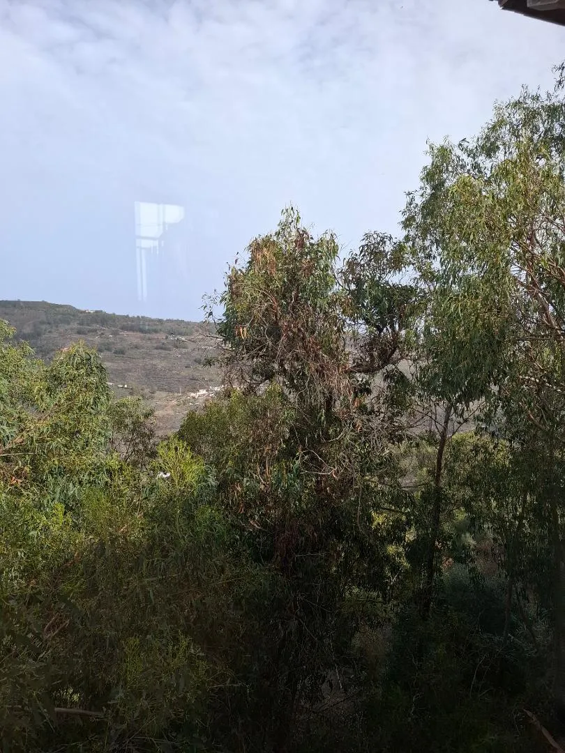 Dúplex en  Lugar San Jose del Alamo 1 - Foto 3