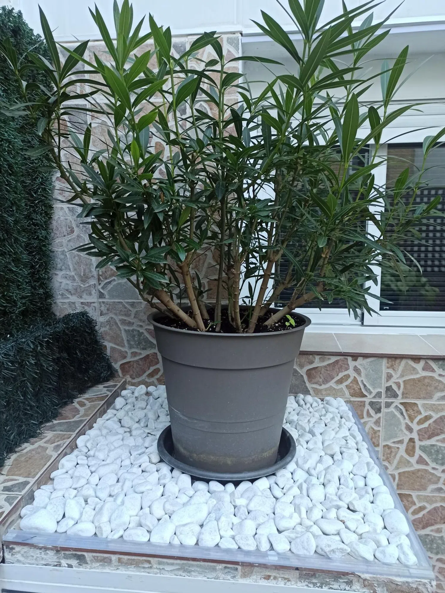 Piso en calle de Valverde, 12 - Foto 3