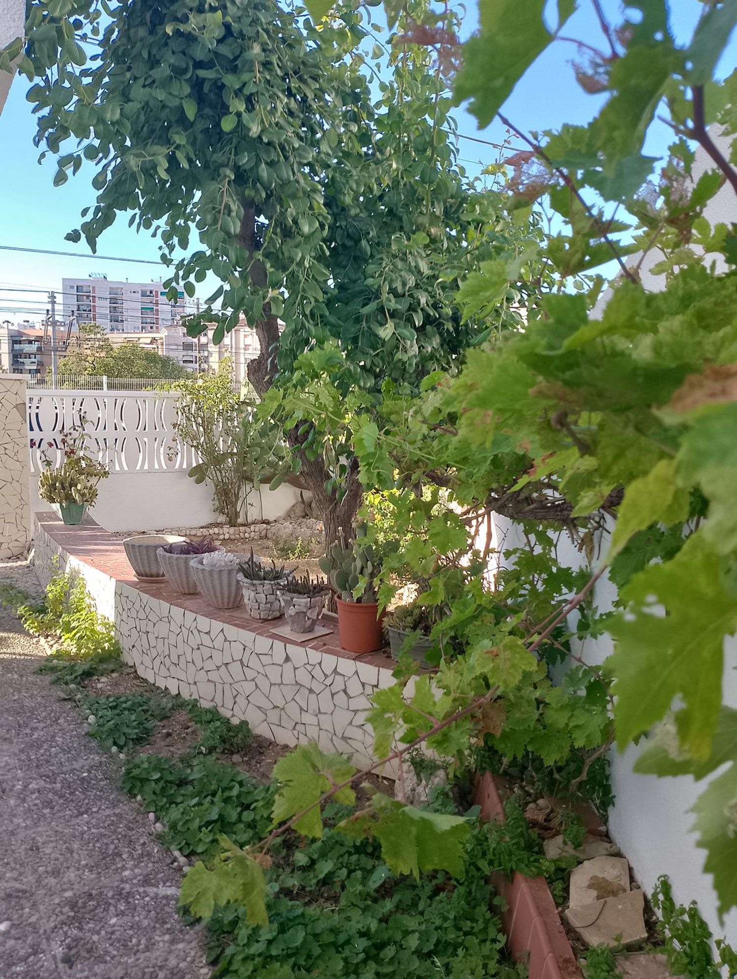 Casa o chalet independiente en Paseo de Francesc Macià, 20, Els Munts, Els Munts - Foto 21