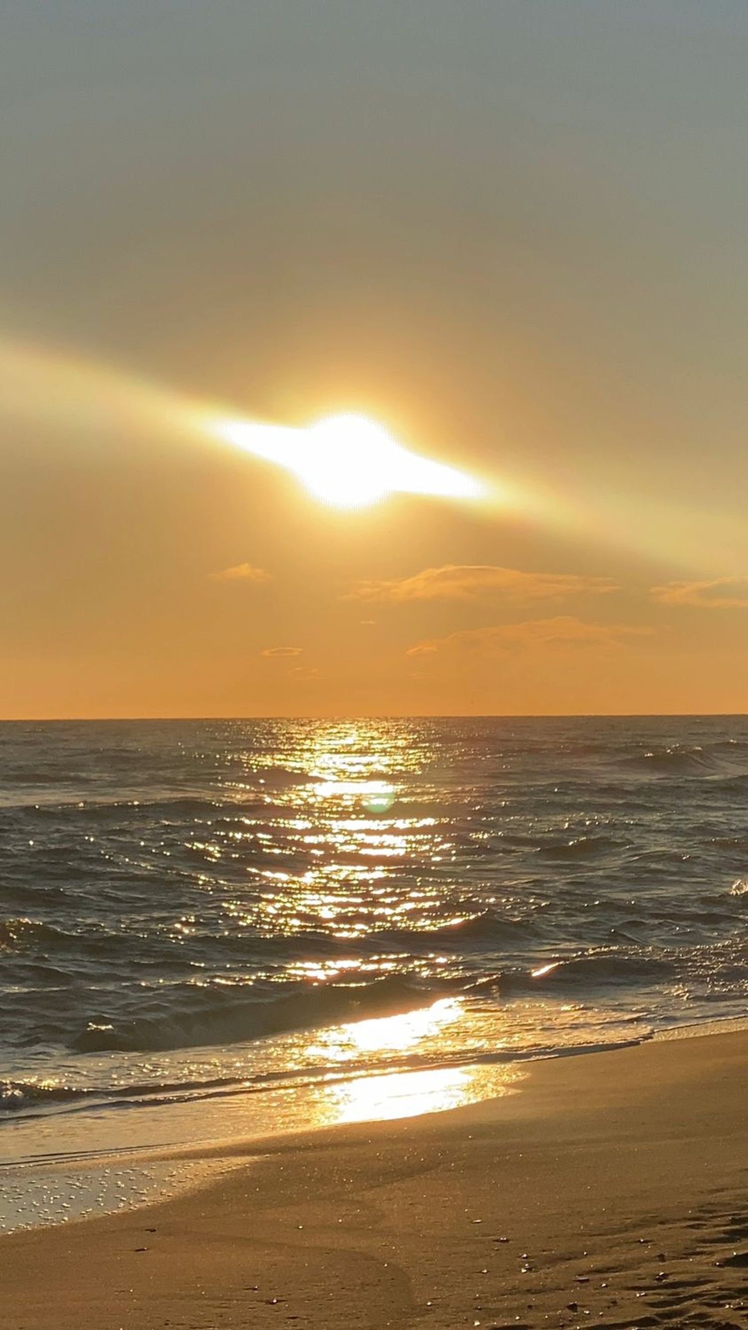 Piso en calle dels Tellinaires, 18 - Foto 19