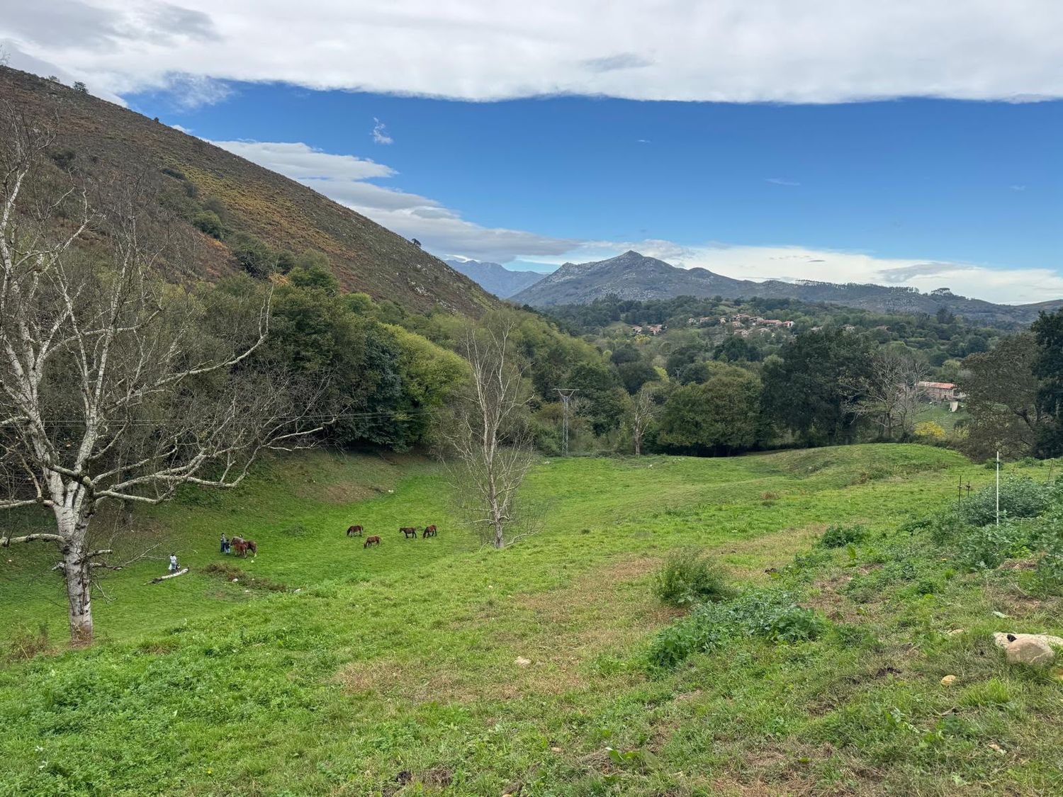 Casa rural en Pista de Riclones s/n - Foto 11