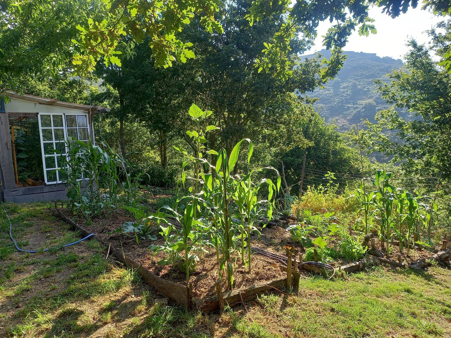 Casa rural en Lugar Carrizans-Escuadra, 17 - Foto 30