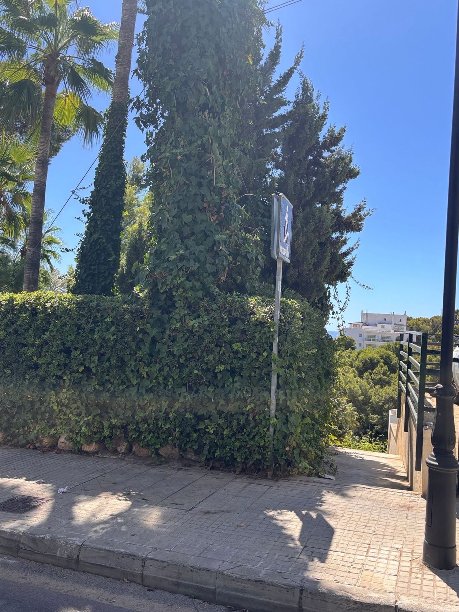 Estudio en Paseo De Illetas, 32, Illetes, Illetes - Foto 16