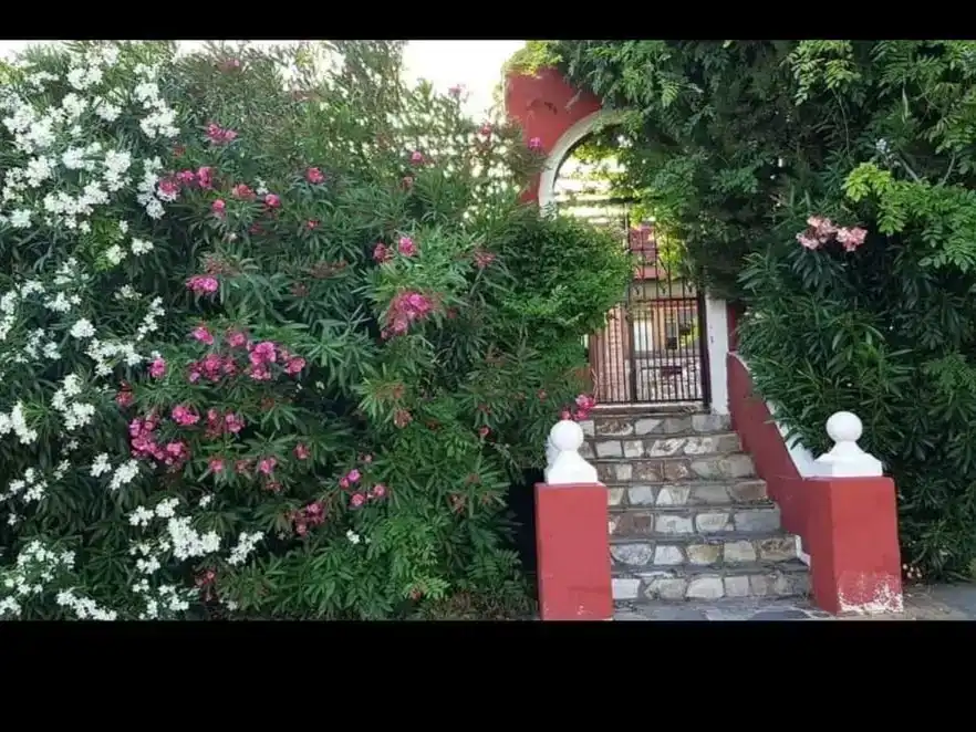 Casa adosada en  Calle Luis Francisco Naranjo Acosta 4 - Foto 2