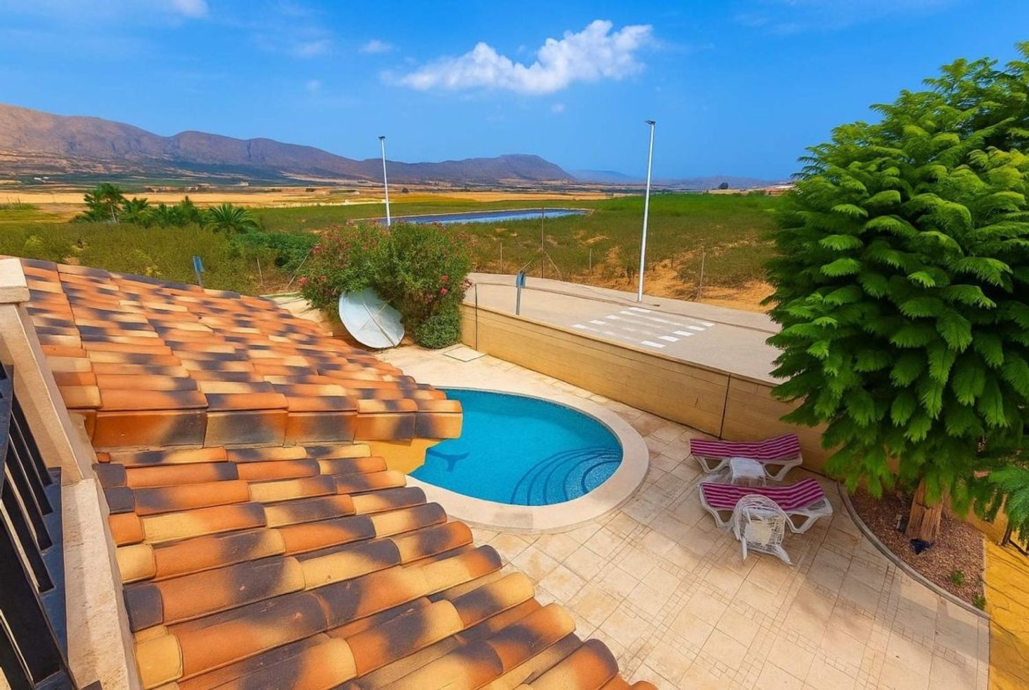 Casa o chalet independiente en Avenid de Elche, 2 - Foto 17