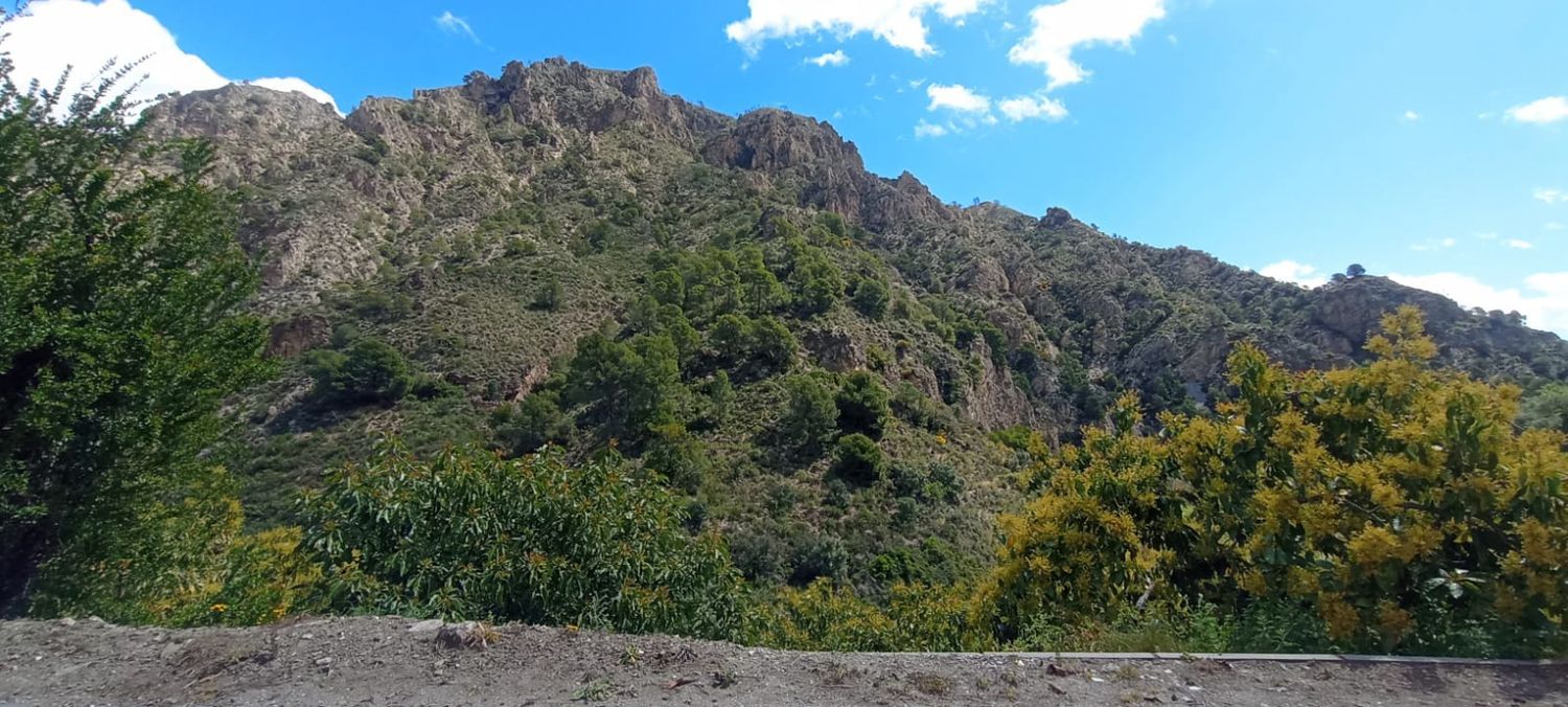 Casa de pueblo en Real, 2 - Foto 6