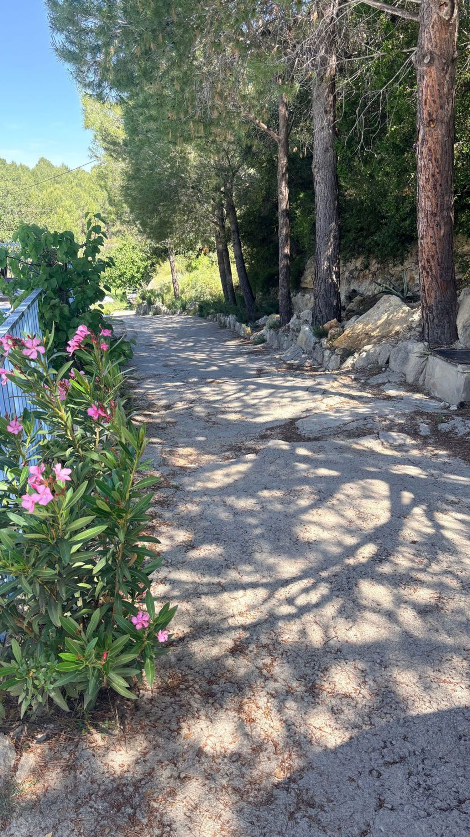 Casa rural en Alborache - Foto 4